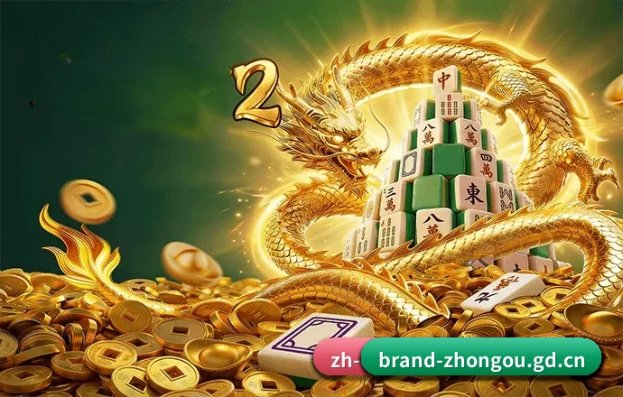 中欧官方网站的发展故事